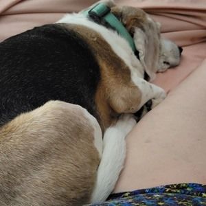 Meet your Posher, Kathy